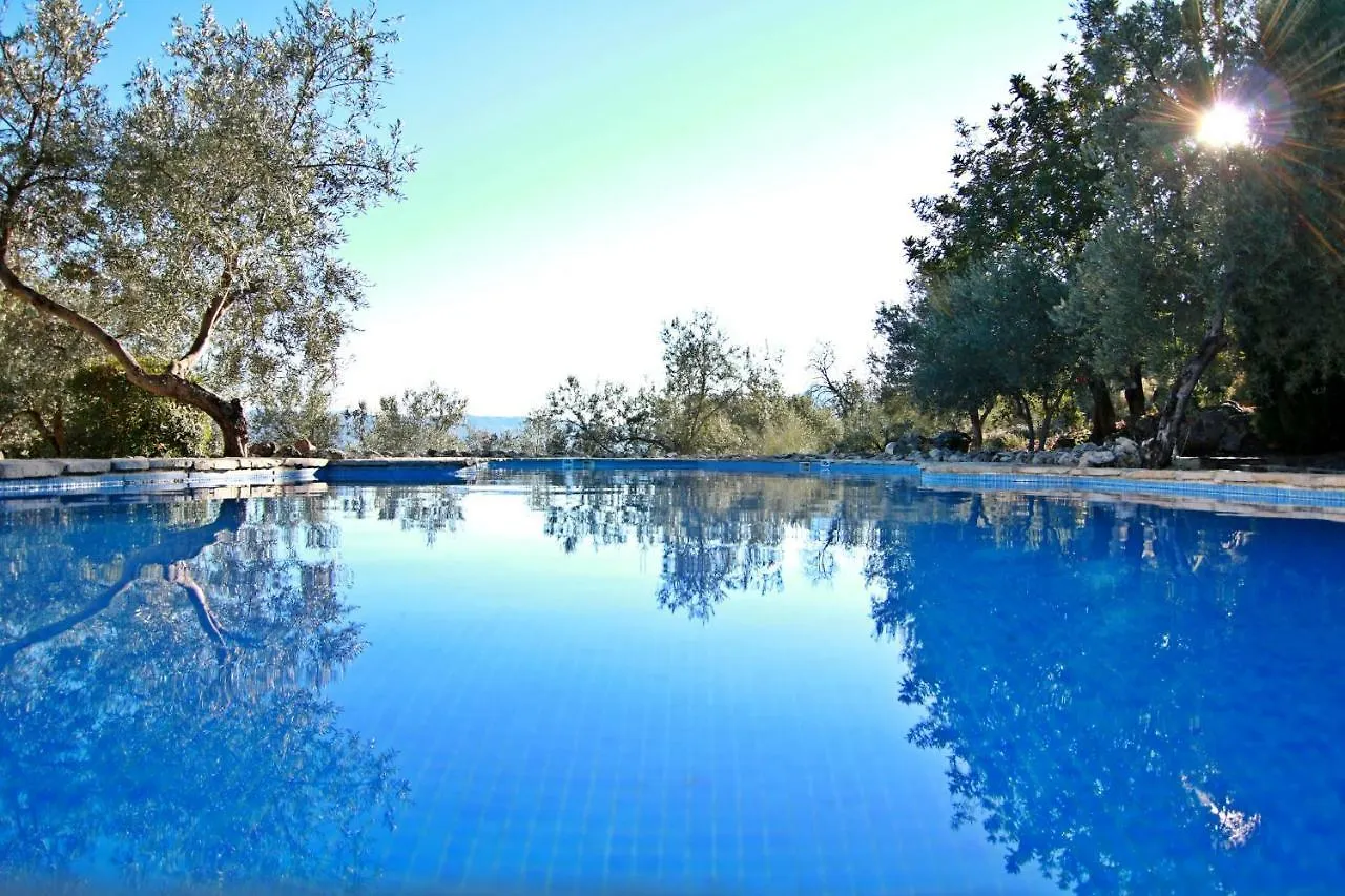Casas Rurales Los Algarrobales El Gastor